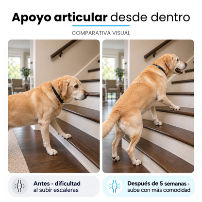 Canvida® Premium Colágeno Líquido