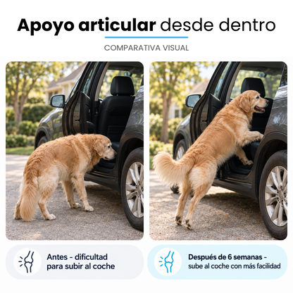 Canvida® Premium Colágeno Líquido