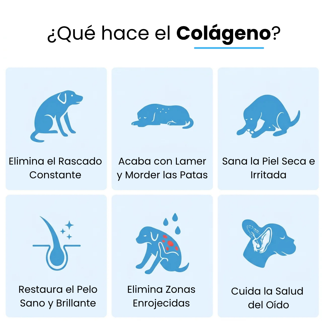 Canvida® Premium Colágeno Líquido