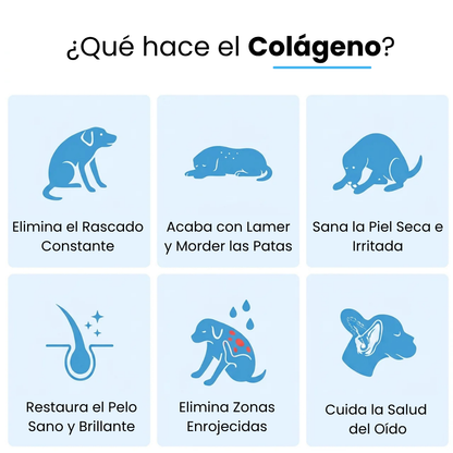 Canvida® Premium Colágeno Líquido