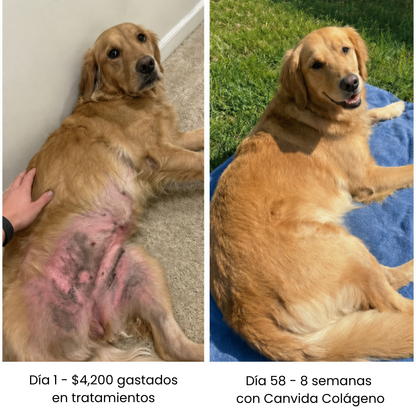 Canvida® Premium Colágeno Líquido
